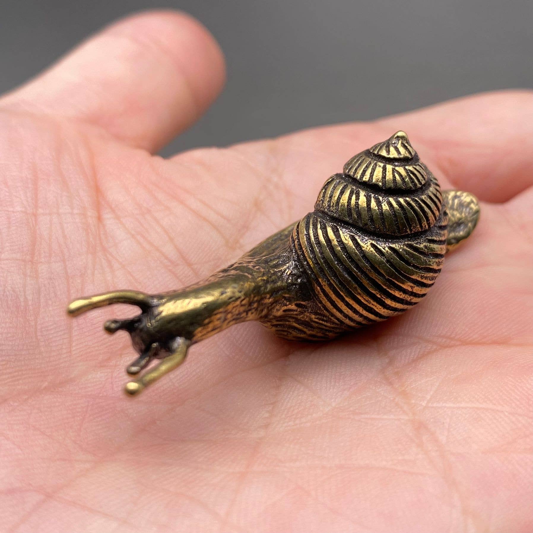 Snail | Brass Figurine - Spiral Circle