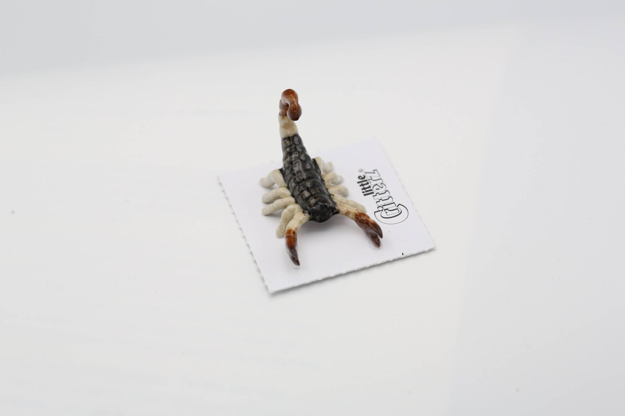 Sonora Scorpion Porcelain Miniature - Spiral Circle