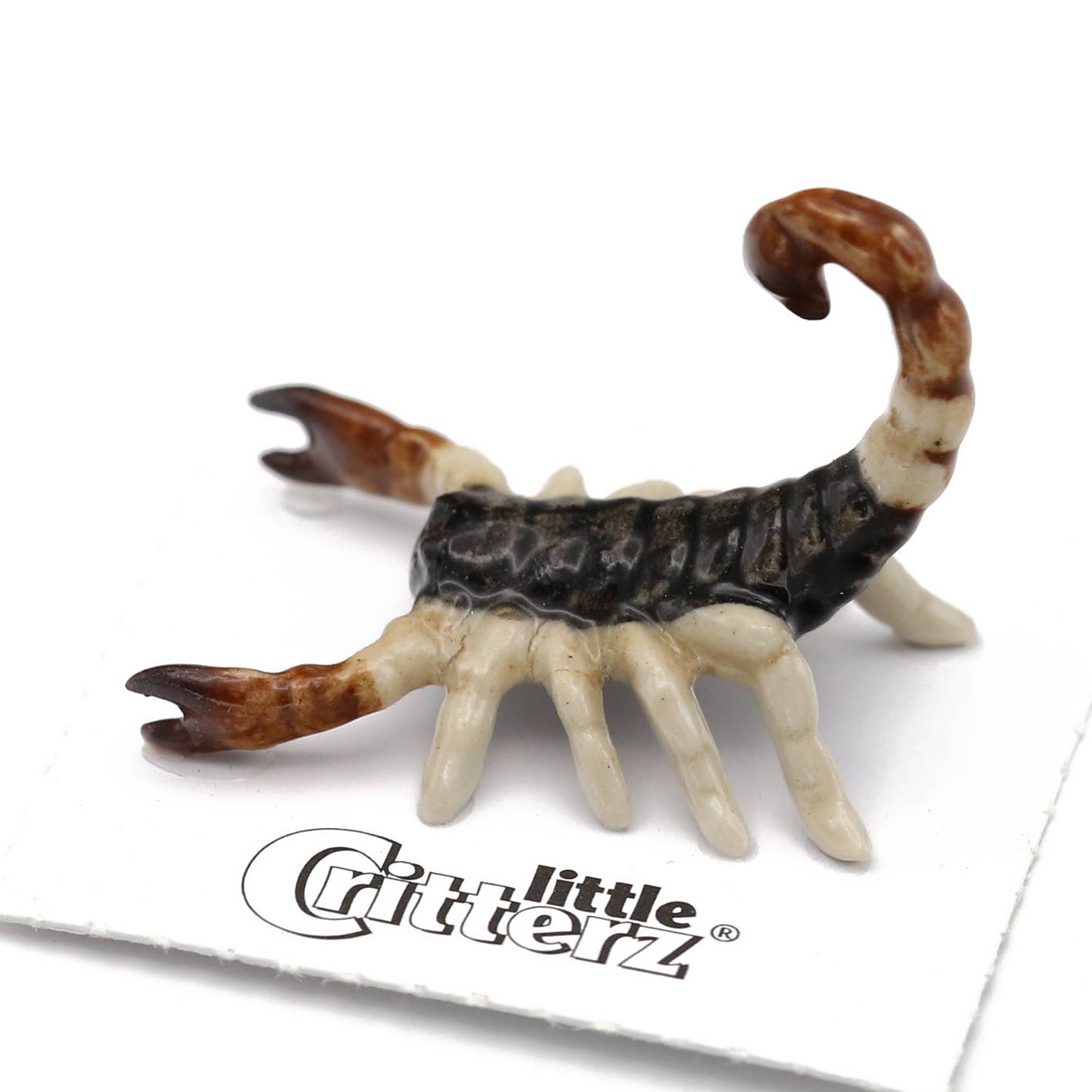 Sonora Scorpion Porcelain Miniature - Spiral Circle