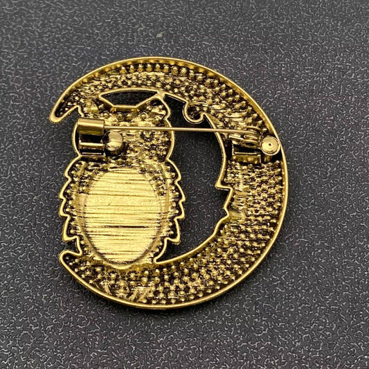 Sparkling Rhinestone Moon & Galss Owl Brooch - Spiral Circle