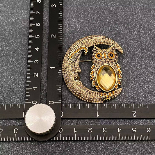 Sparkling Rhinestone Moon & Galss Owl Brooch - Spiral Circle