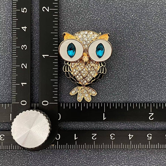 Sparkling Rhinestone Owl Brooch - Spiral Circle