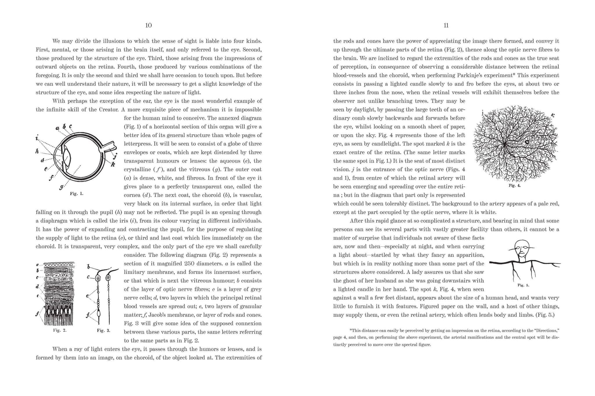 Spectropia - Spiral Circle