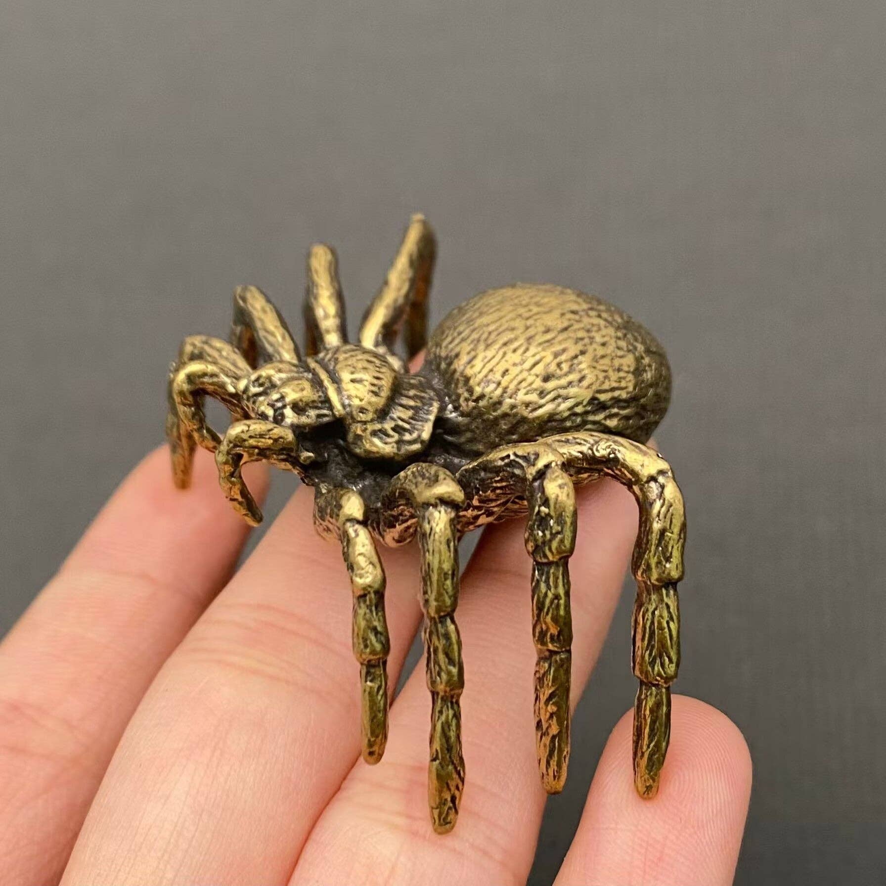 Spider | Brass Figurine - Spiral Circle