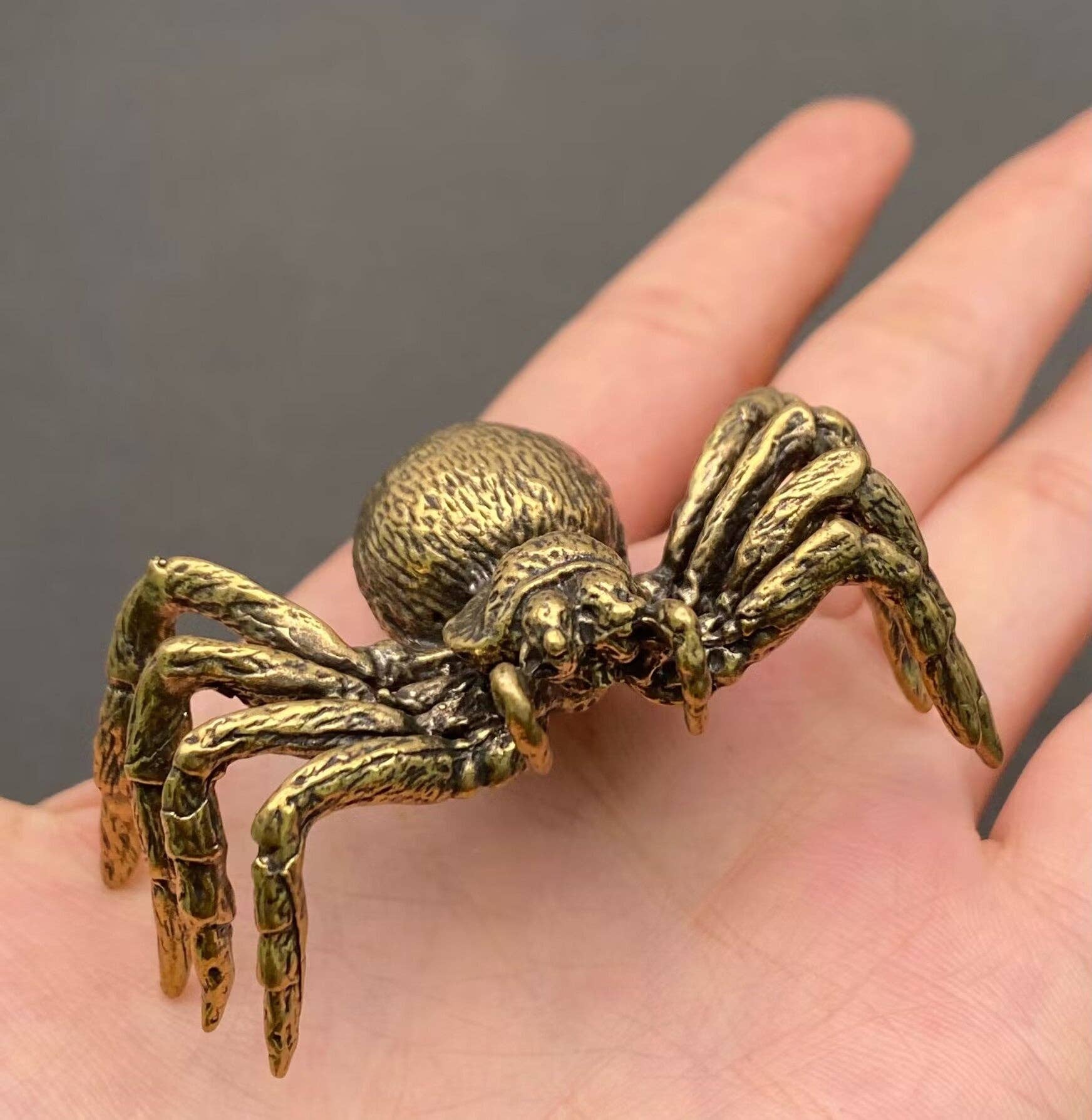 Spider | Brass Figurine - Spiral Circle