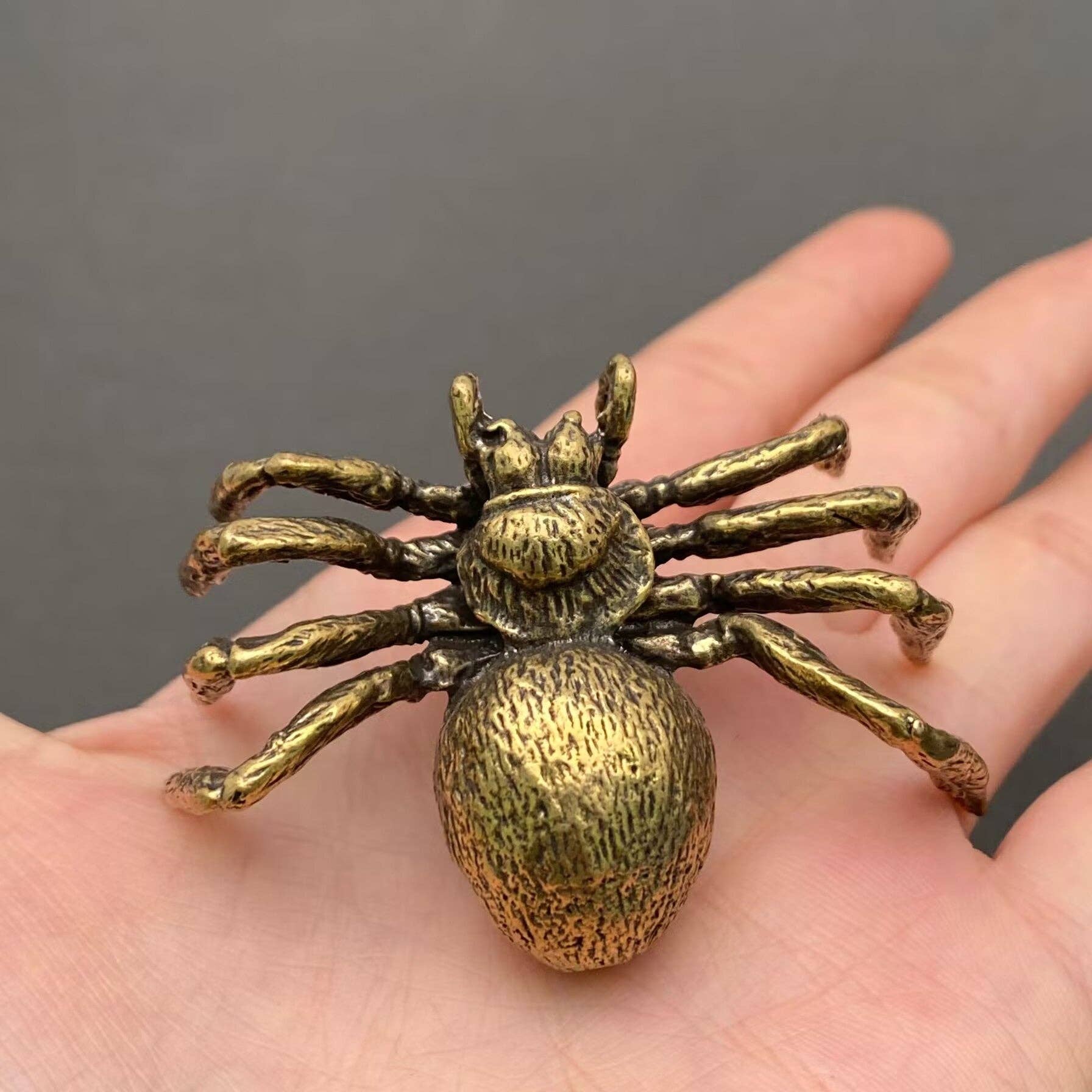 Spider | Brass Figurine - Spiral Circle