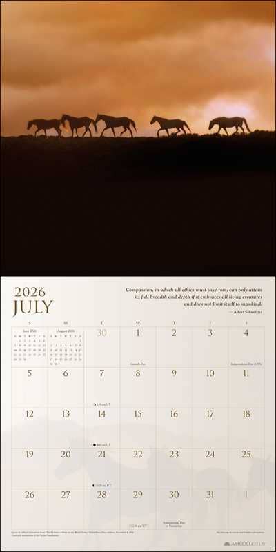 Spirit Horses 2026 Wall Calendar by Tony Stromberg by Tony Stromberg - Spiral Circle