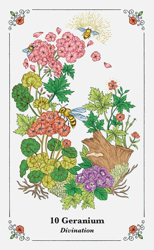 Spirits in Flowers Oracle Deck - Spiral Circle