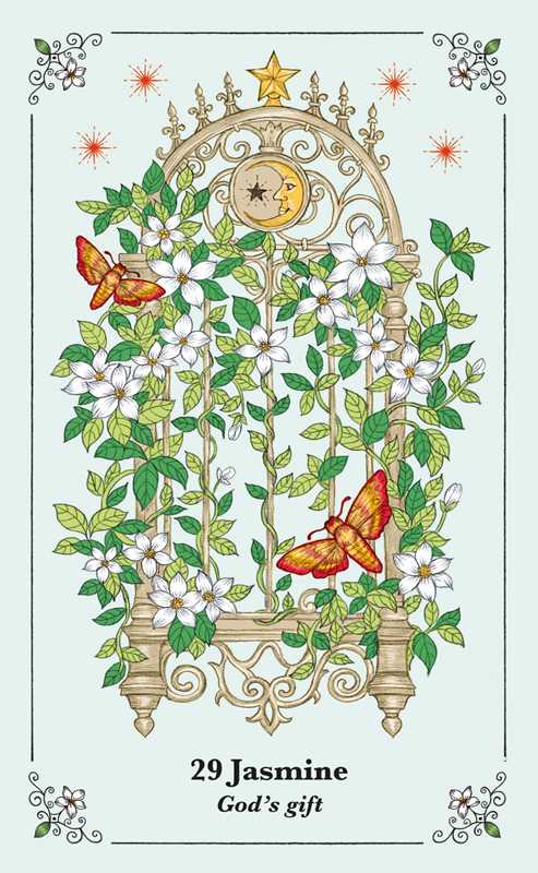 Spirits in Flowers Oracle Deck - Spiral Circle