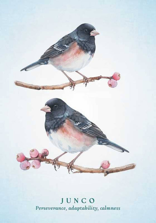 Spiritual Meaning of Birds Oracle Deck by Arin Murphy - Hiscock - Spiral Circle