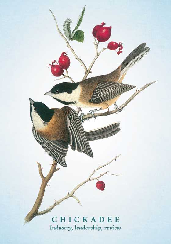 Spiritual Meaning of Birds Oracle Deck by Arin Murphy - Hiscock - Spiral Circle