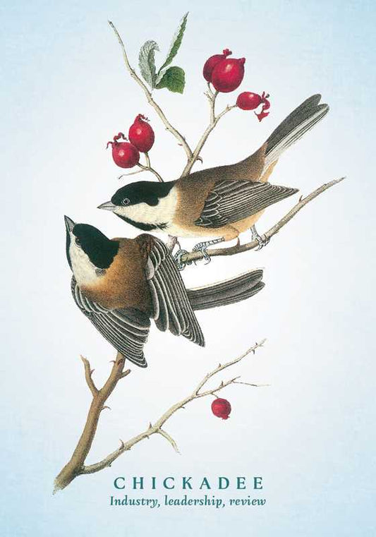 Spiritual Meaning of Birds Oracle Deck by Arin Murphy - Hiscock - Spiral Circle