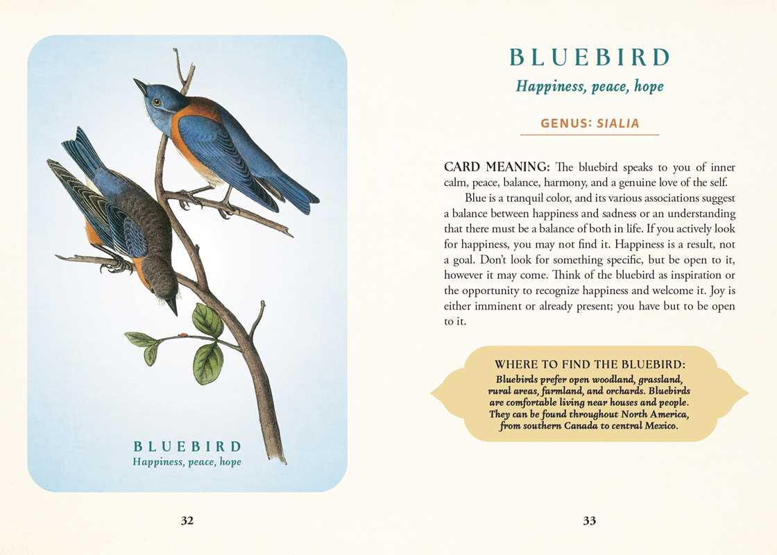 Spiritual Meaning of Birds Oracle Deck by Arin Murphy - Hiscock - Spiral Circle