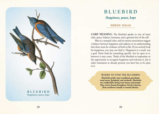 Spiritual Meaning of Birds Oracle Deck by Arin Murphy - Hiscock - Spiral Circle