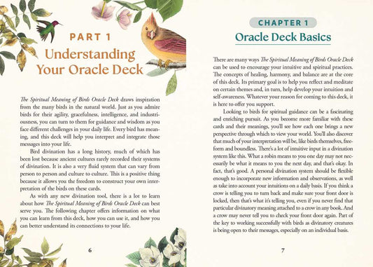 Spiritual Meaning of Birds Oracle Deck by Arin Murphy - Hiscock - Spiral Circle