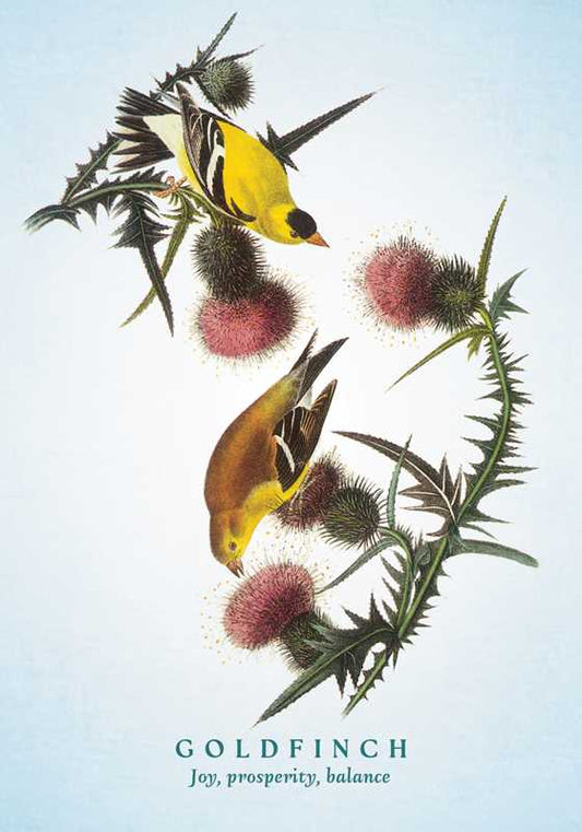 Spiritual Meaning of Birds Oracle Deck by Arin Murphy - Hiscock - Spiral Circle