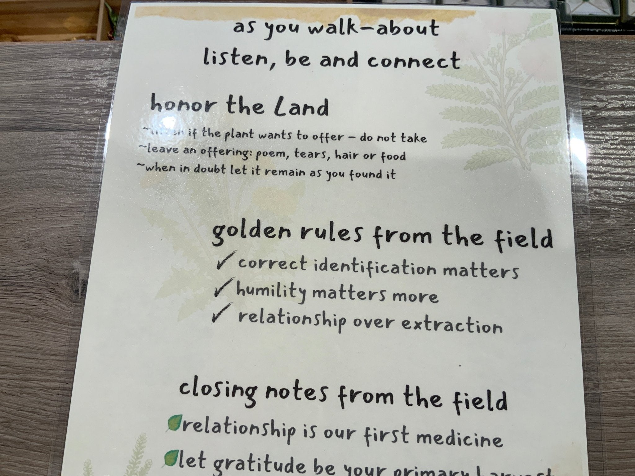 Spring & Summer Forage Guide - Spiral Circle