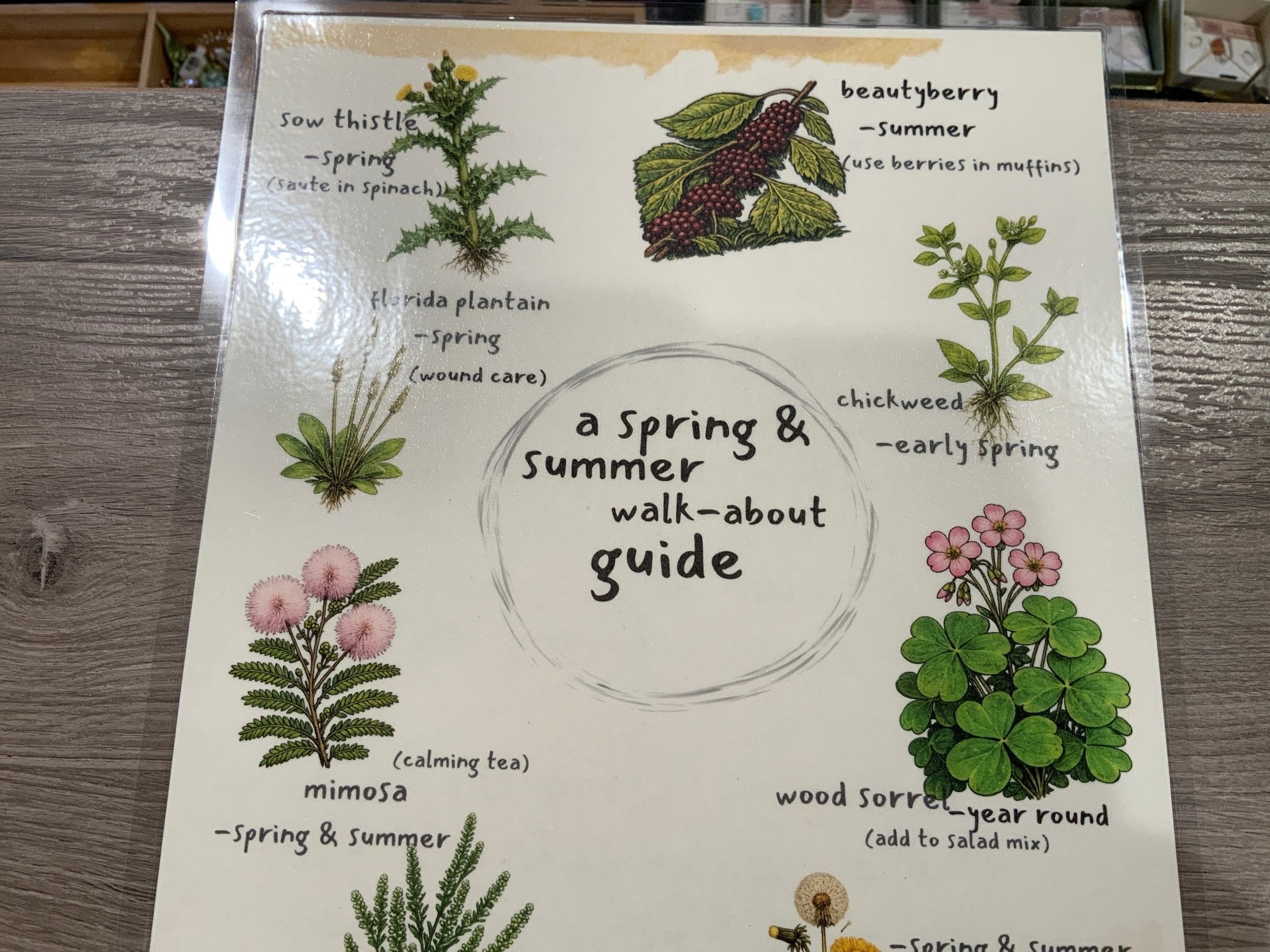 Spring & Summer Forage Guide - Spiral Circle