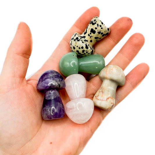 Stone Mushroom | Large | Assorted - Spiral Circle