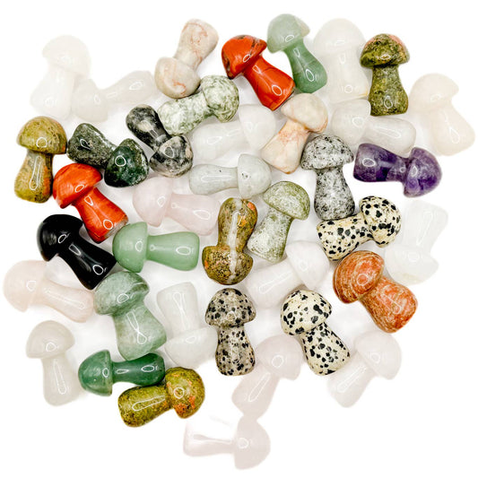 Stone Mushroom | Large | Assorted - Spiral Circle