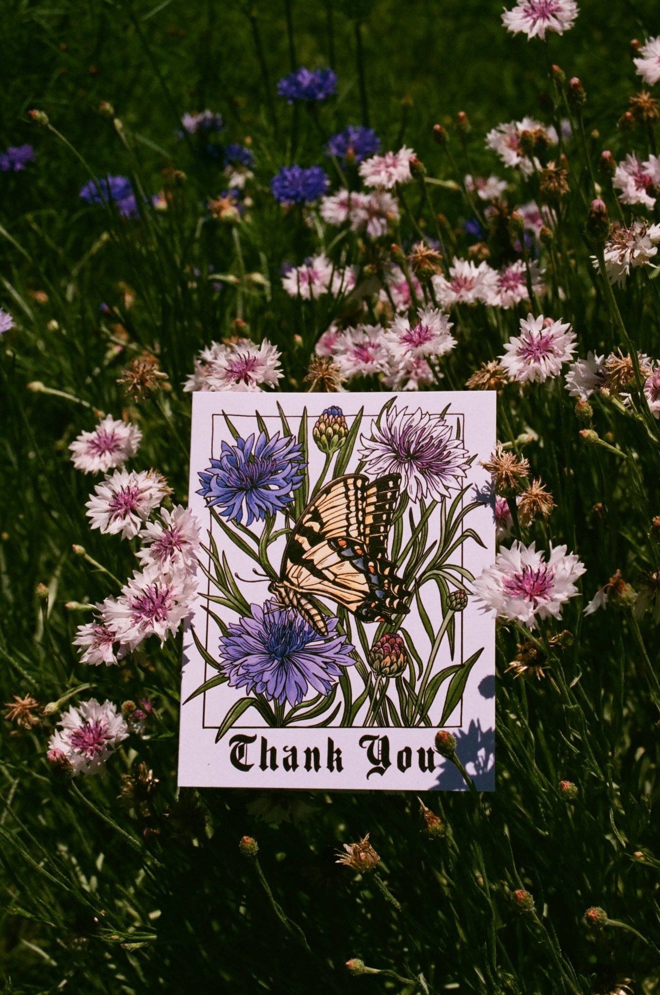 Thank You Butterfly Card - Spiral Circle