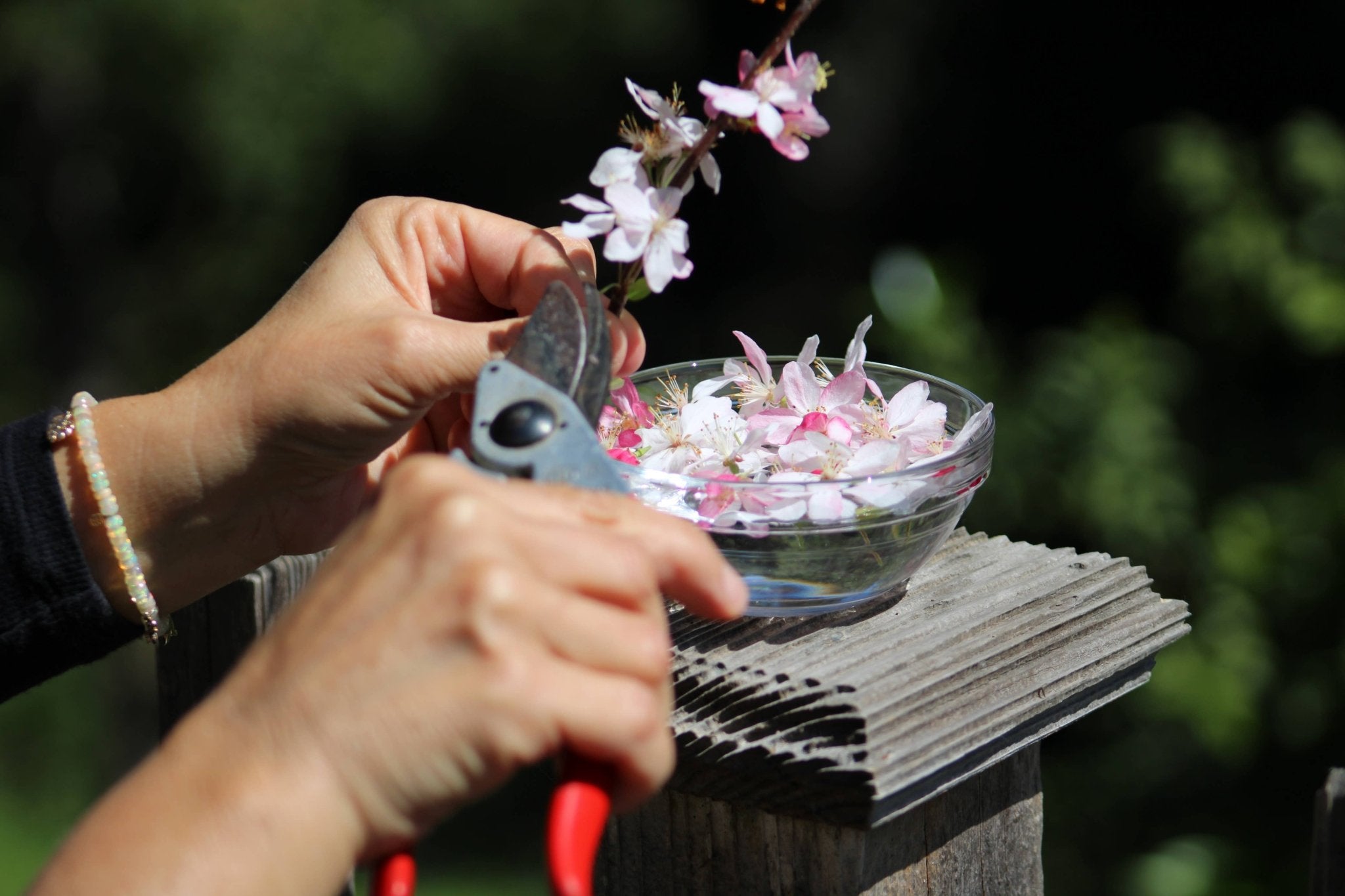 The Art of Flower Therapy - Spiral Circle