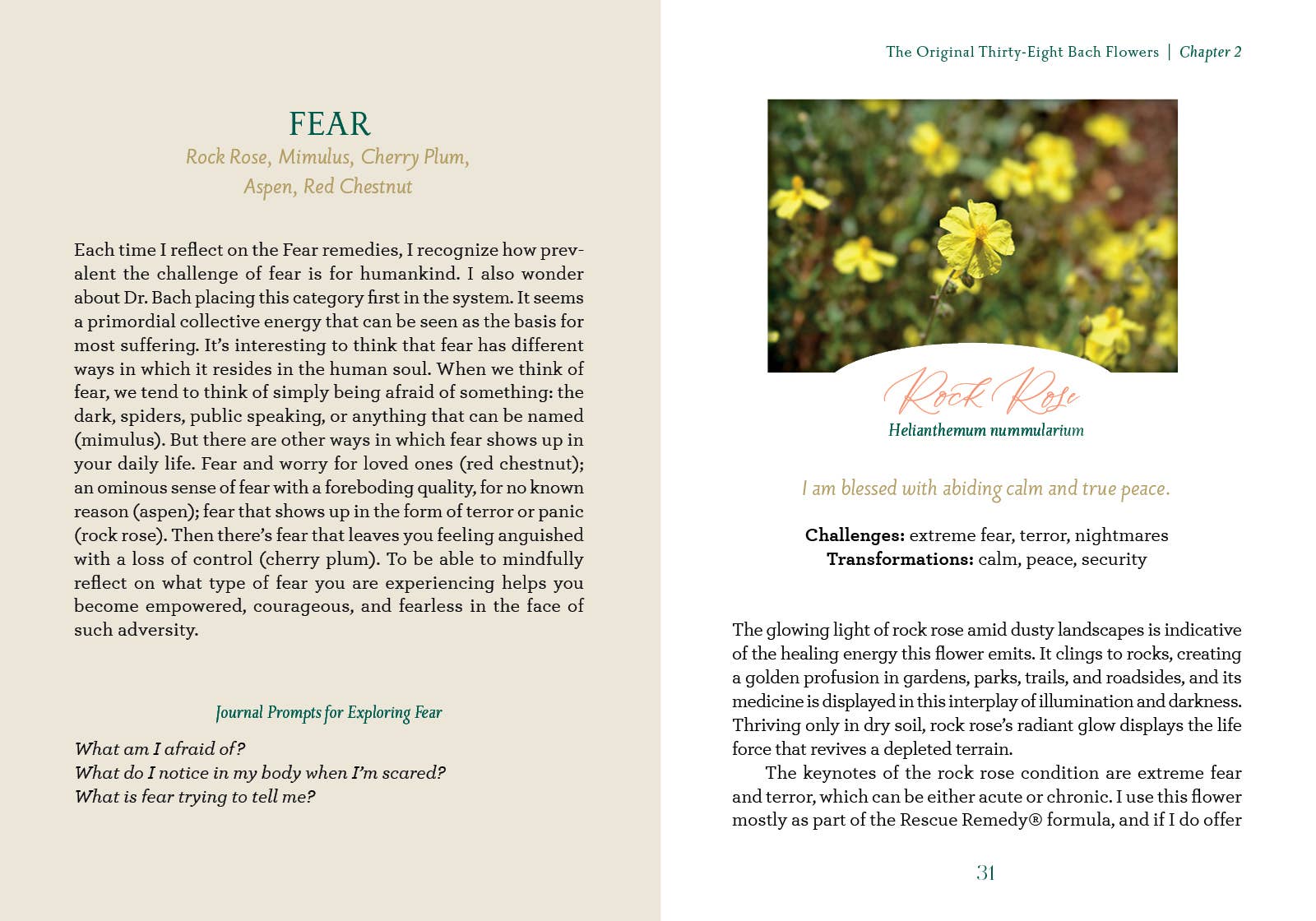 The Art of Flower Therapy - Spiral Circle