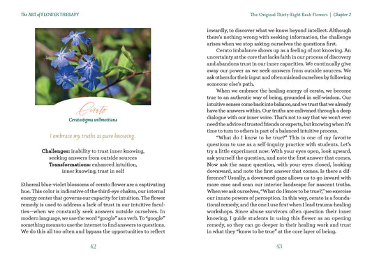 The Art of Flower Therapy - Spiral Circle