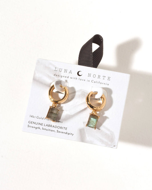 The Classic Form Labradorite Huggie Hoops - Spiral Circle