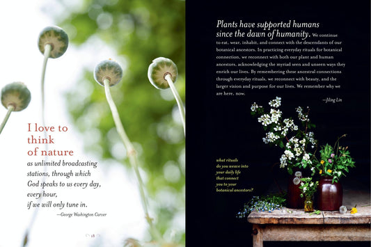 The Generosity Of Plants - Spiral Circle