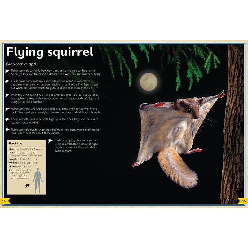 The Magnificent Book of Night Creatures - Spiral Circle