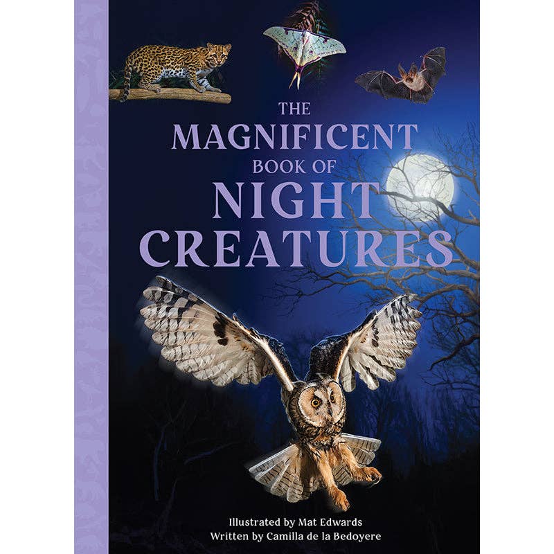 The Magnificent Book of Night Creatures - Spiral Circle