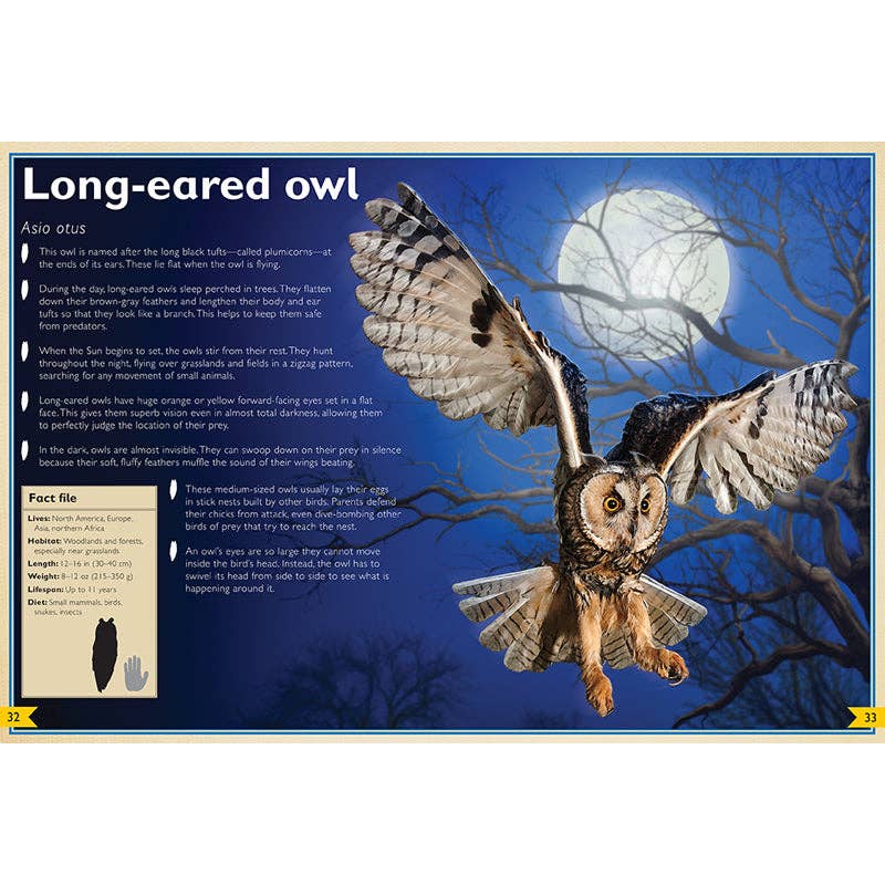 The Magnificent Book of Night Creatures - Spiral Circle