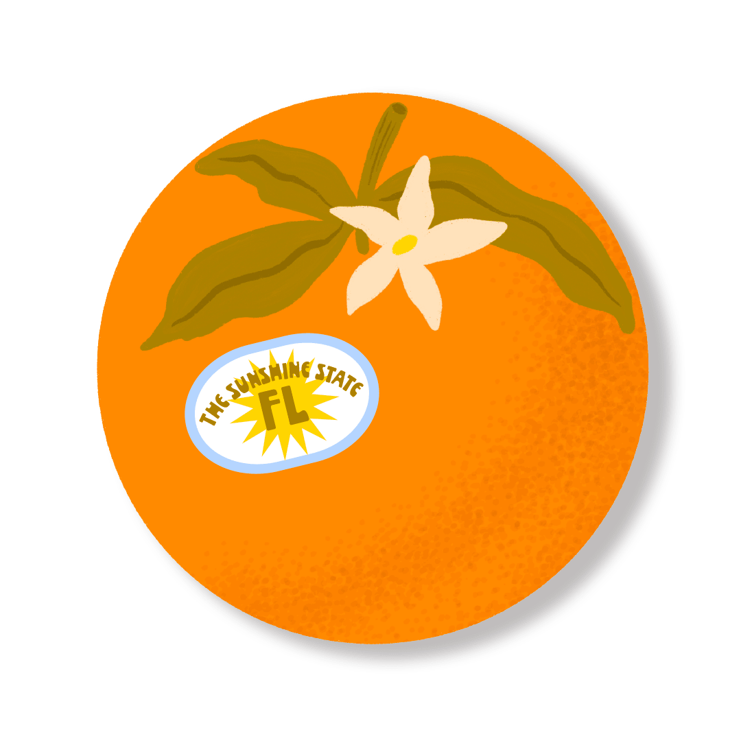 The Sunshine State Orange | Sticker - Spiral Circle