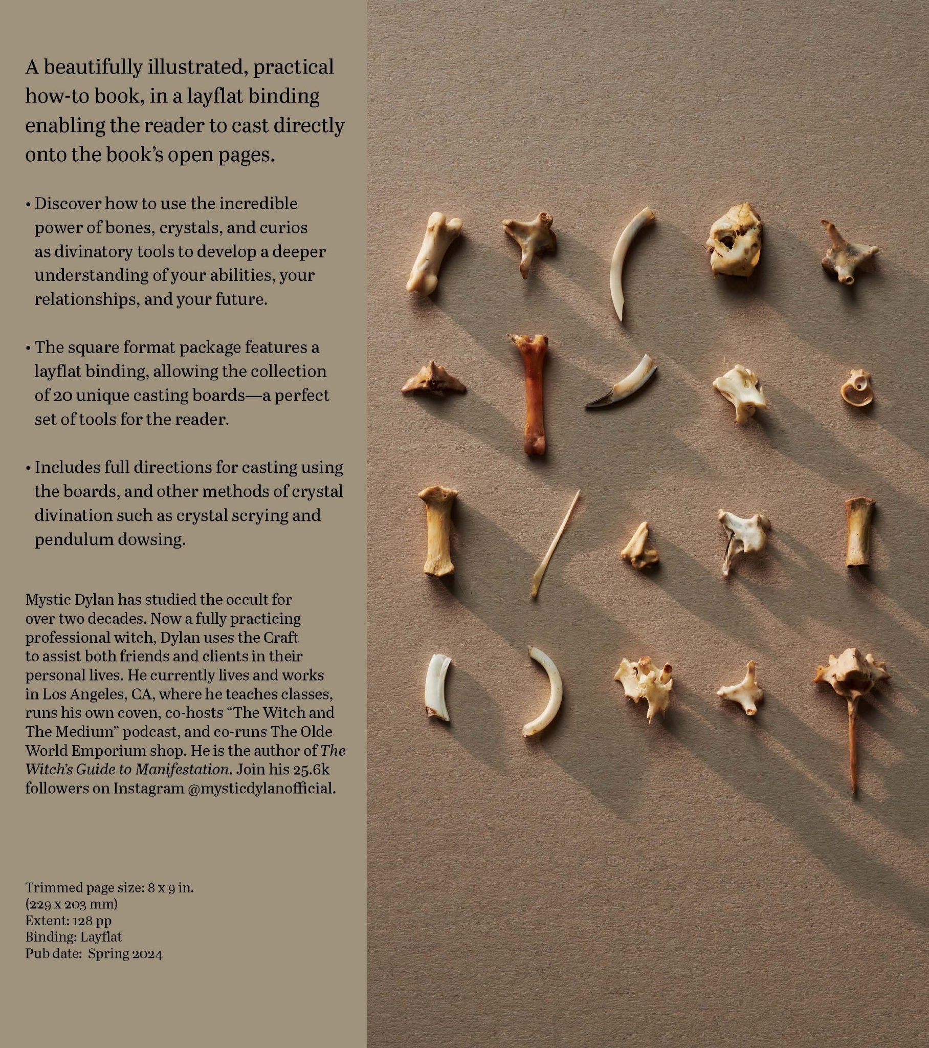 Throwing Bones, Crystals, Stones, and Curios - Spiral Circle