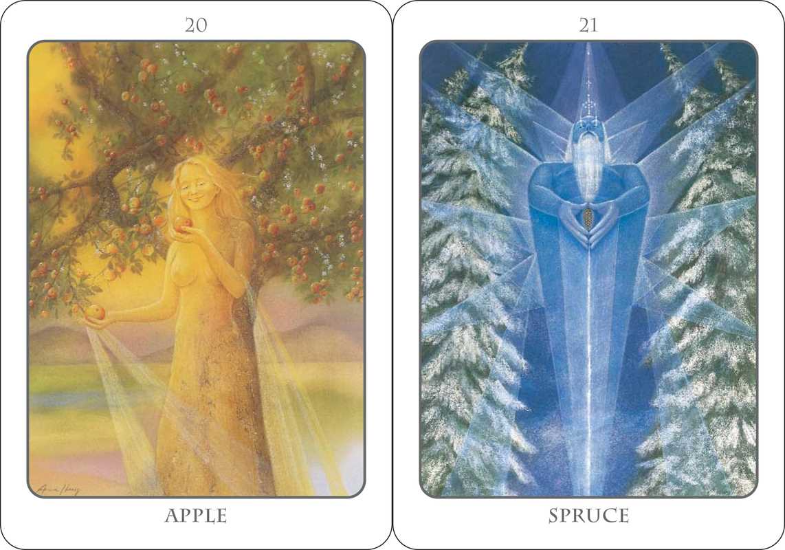 Tree Angel Oracle Deck - Spiral Circle