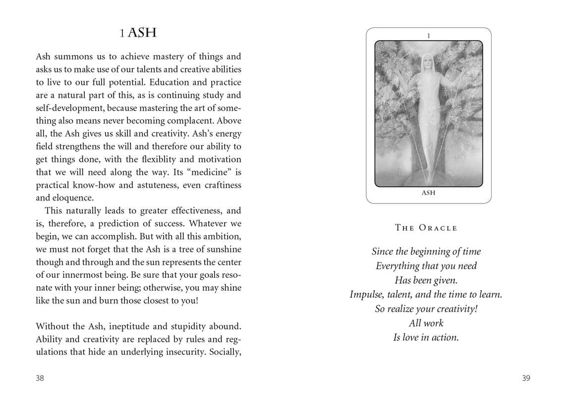 Tree Angel Oracle Deck - Spiral Circle
