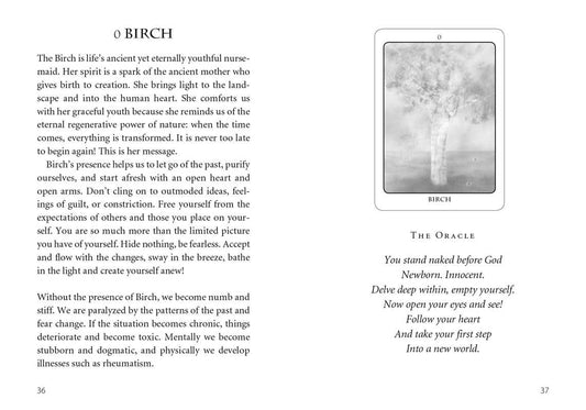 Tree Angel Oracle Deck - Spiral Circle
