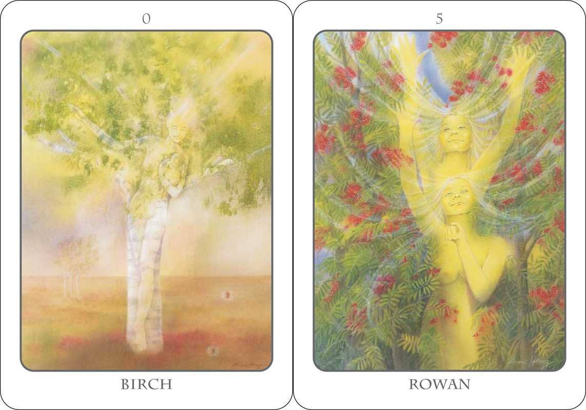 Tree Angel Oracle Deck - Spiral Circle