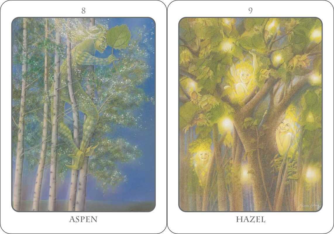 Tree Angel Oracle Deck - Spiral Circle