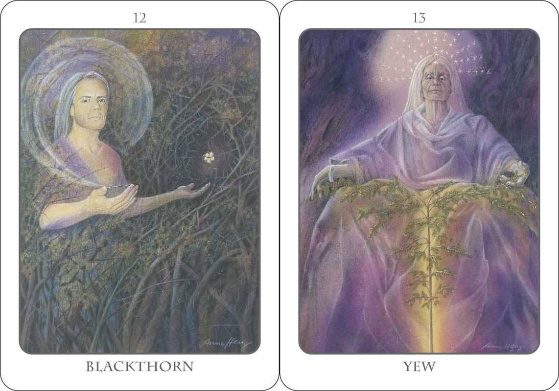 Tree Angel Oracle Deck - Spiral Circle
