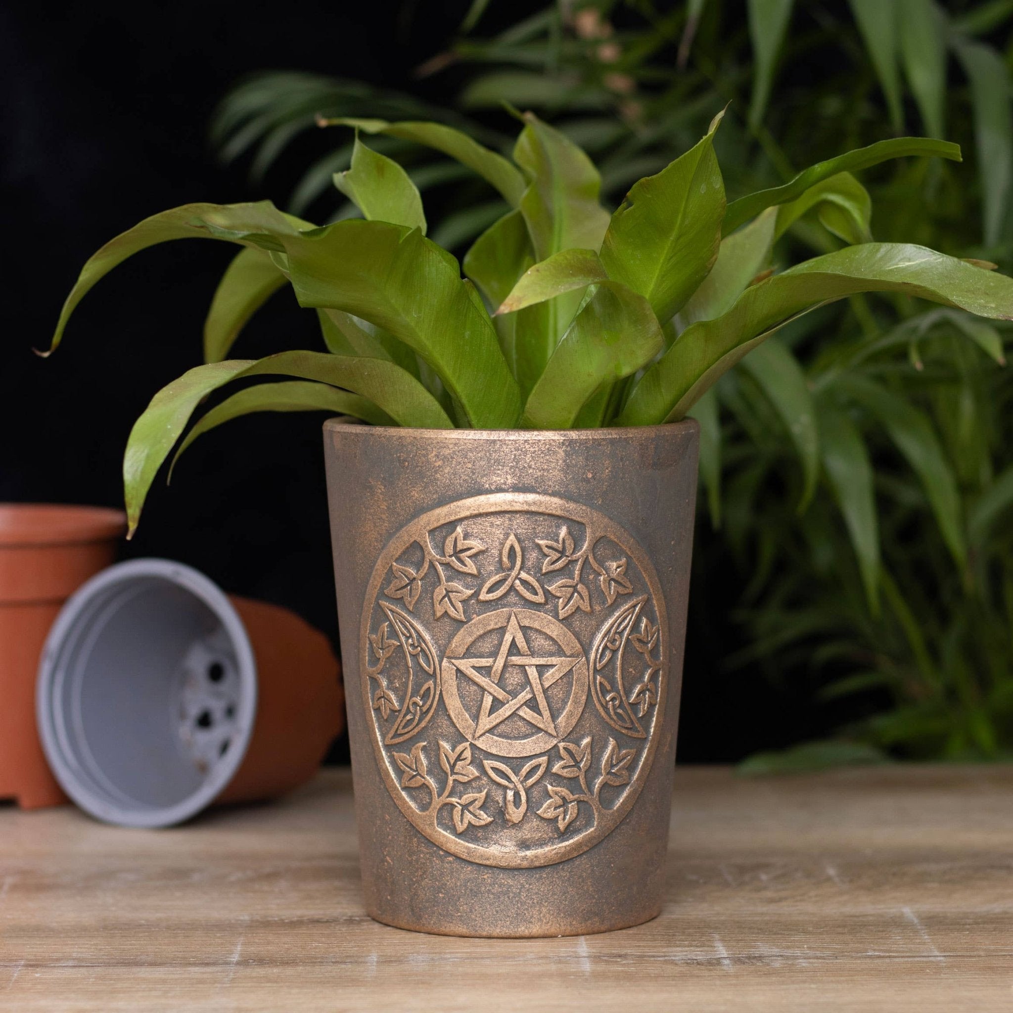 Triple Moon Bronze Terracotta Plant Pot by Lisa Parker - Spiral Circle