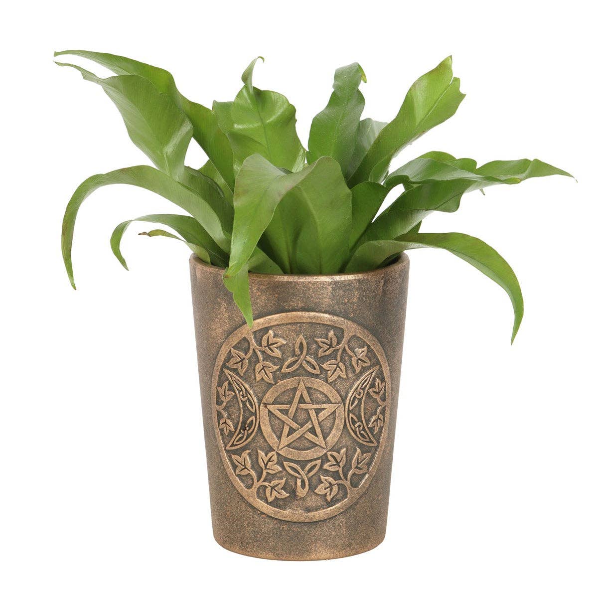 Triple Moon Bronze Terracotta Plant Pot by Lisa Parker - Spiral Circle