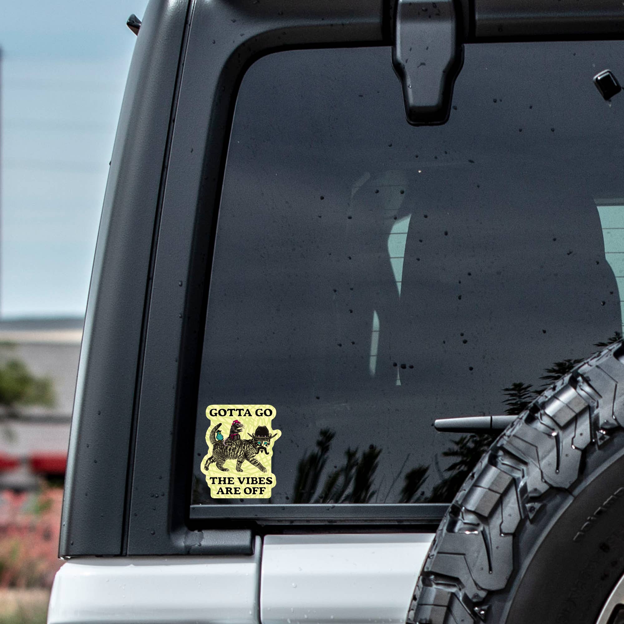 Vibes are Off Cat Sticker - Spiral Circle