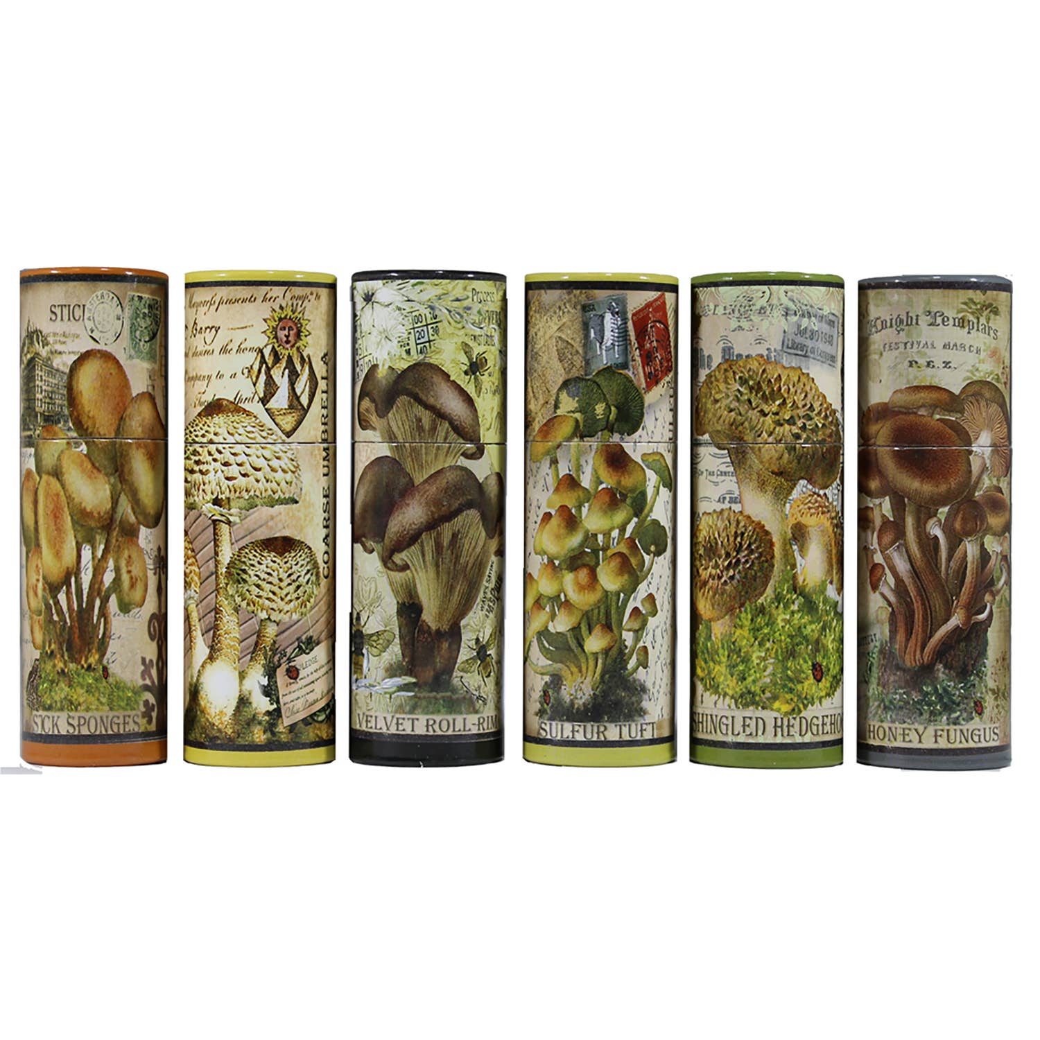 Vintage Mushroom Illustration |Assorted Match Tube - Spiral Circle