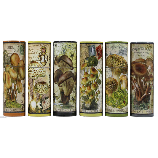 Vintage Mushroom Illustration |Assorted Match Tube - Spiral Circle