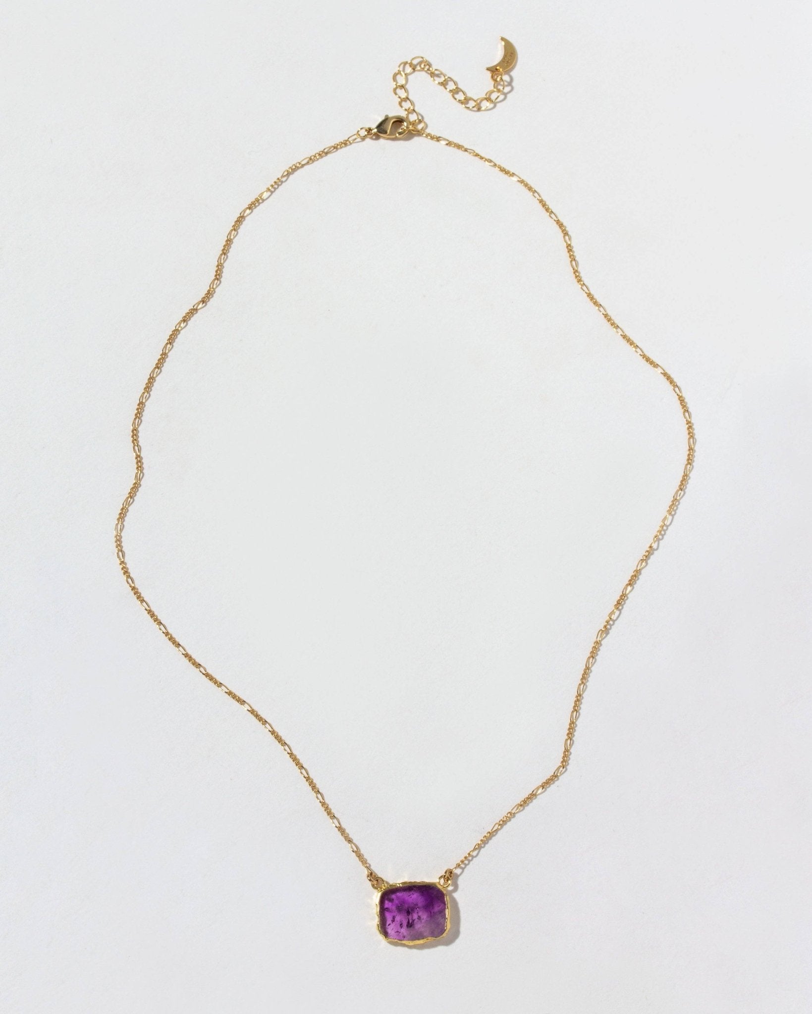 Wild & Grounded Necklace - Amethyst - Spiral Circle