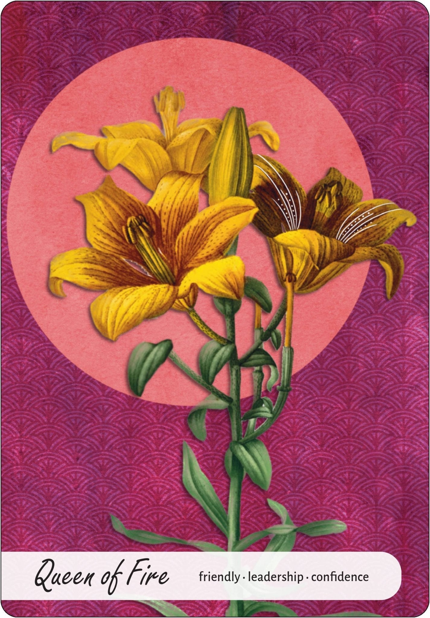 Wise Earth Medicine Tarot: 78 Cards & 96 Page Guidebook - Spiral Circle