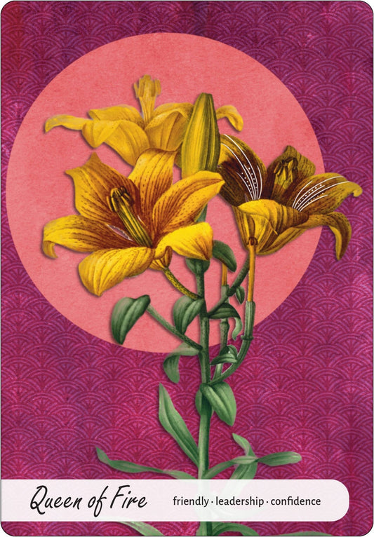 Wise Earth Medicine Tarot: 78 Cards & 96 Page Guidebook - Spiral Circle