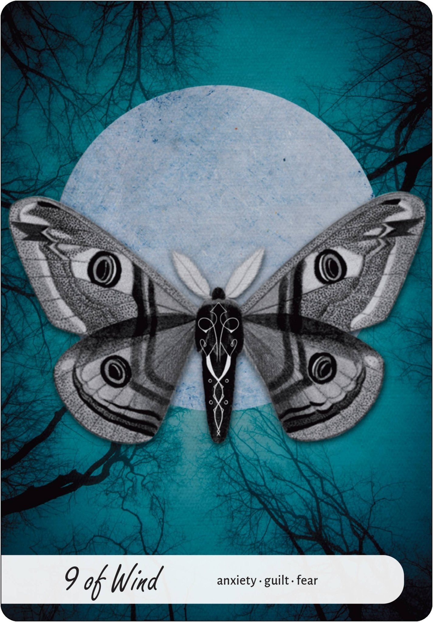 Wise Earth Medicine Tarot: 78 Cards & 96 Page Guidebook - Spiral Circle